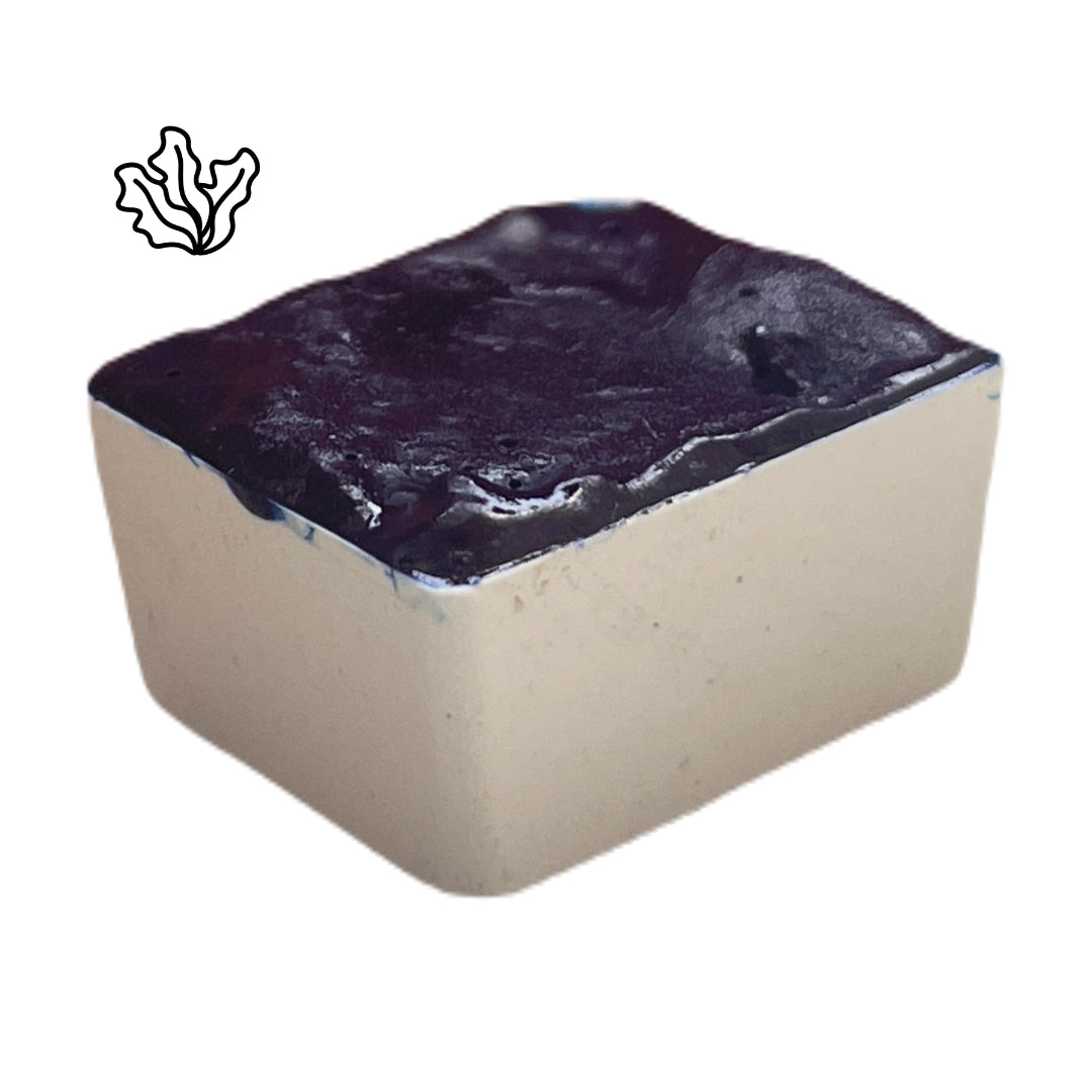 Řasa Spirulina – přírodní akvarelová barva