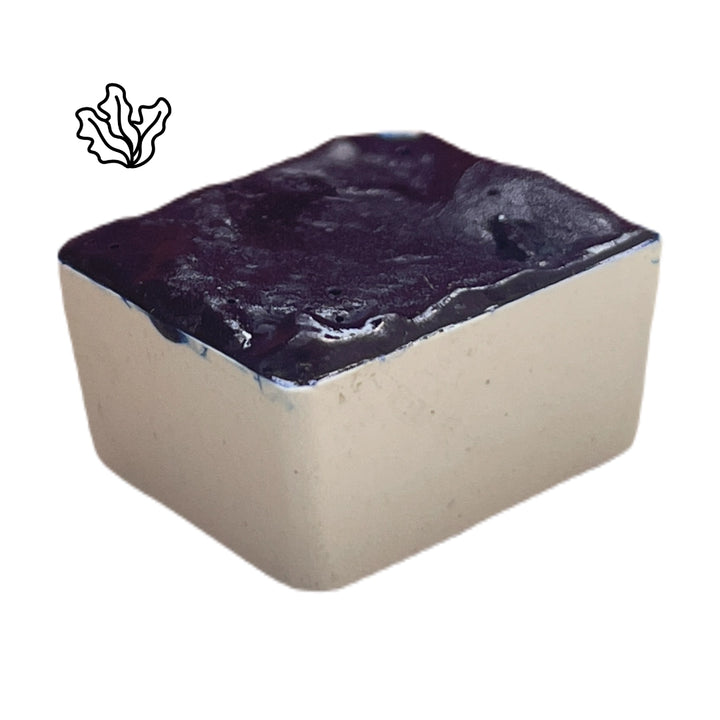 Řasa Spirulina – přírodní akvarelová barva
